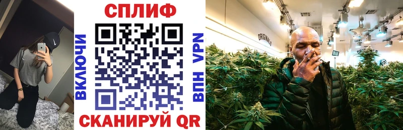 Шишки марихуана гибрид  продажа наркотиков  Гурьевск 